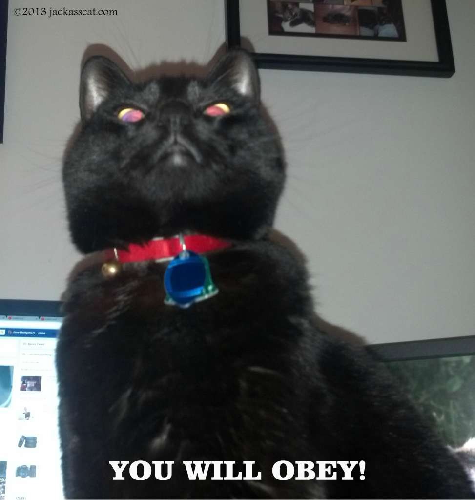 you will obey 102513