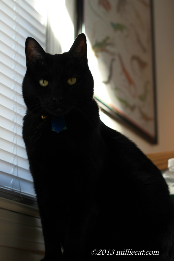 supervising photo shoot 021013