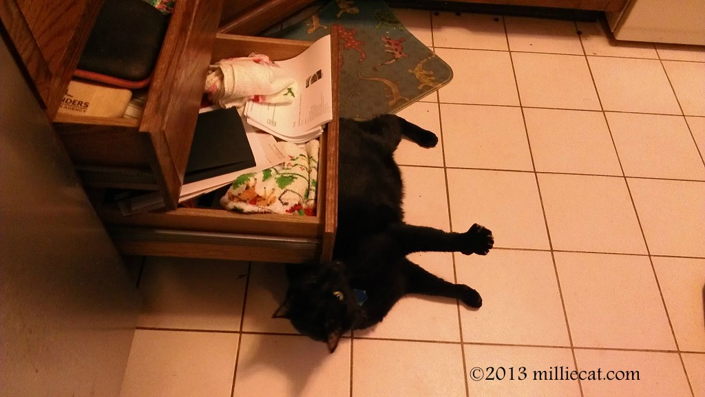 attack drawer 032113