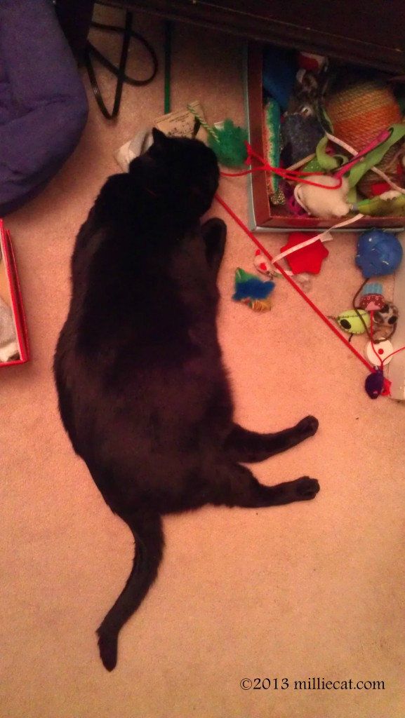 nip overdose 101713